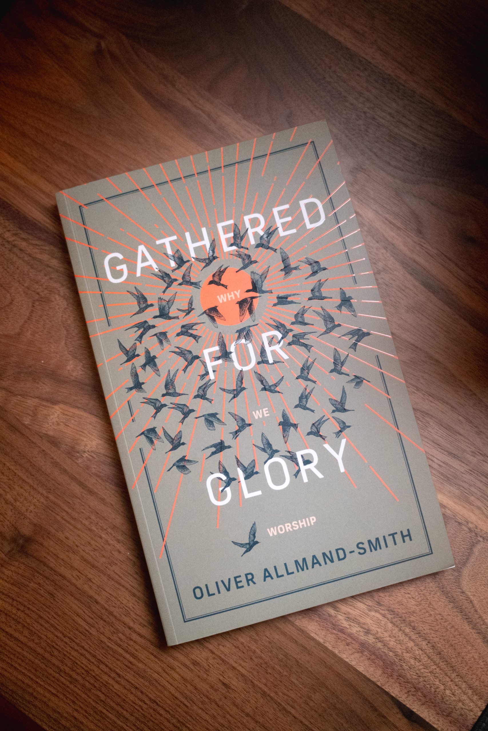 Picture of the cover of the book referenced in the article.
